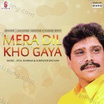 Mera Dil Kho Gaya Album Download