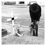Dum Dum Girls Songs MP3 Download