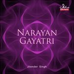 Narayan Gayatri - Jitender Singh Song Download