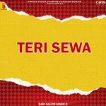 Teri Sewa Album Download