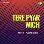 Tere Pyar Wich Album Download