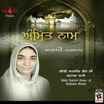 Amrit Naam Album Download