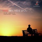 Subhojyoti Songs MP3 Download