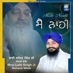 Main Naahi Album Download