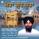 Bhai Baaj Singh (Raipur Chhatisgarh Wale) Songs MP3 Download