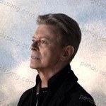 David Bowie Songs MP3 Download