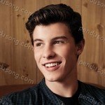 Shawn Mendes Songs MP3 Download