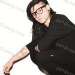 Skrillex Songs MP3 Download