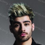 Zayn Malik Songs MP3 Download